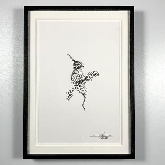 Framed Aves Spheraves - Original Art - MJS.ART